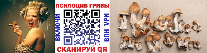 KRAKEN рабочий сайт  Амурск  Галлюциногенные грибы мицелий  где купить наркоту 