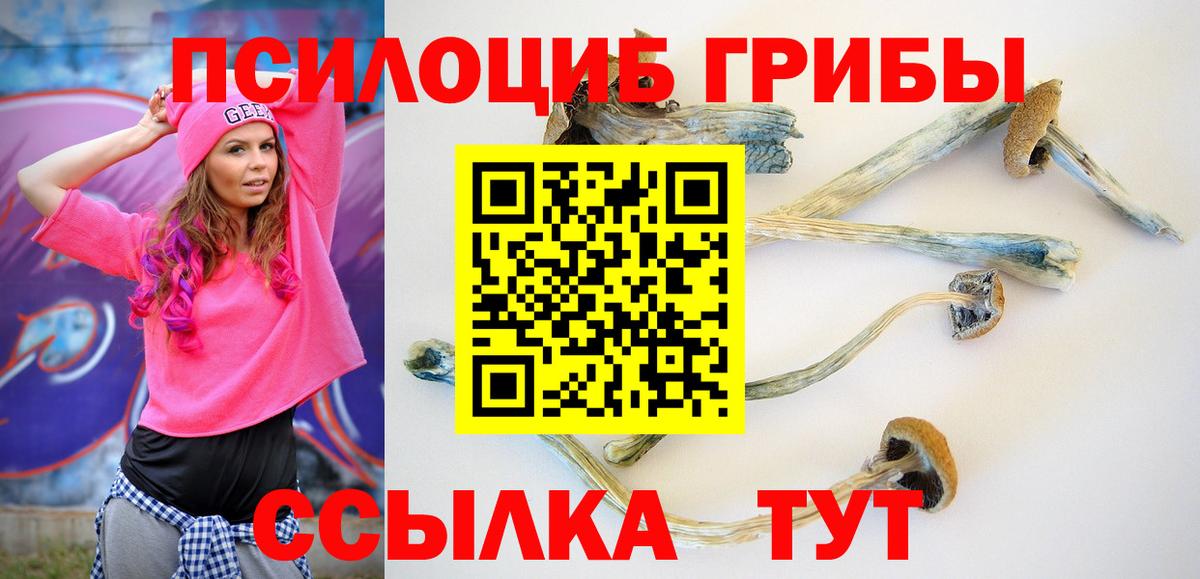 Галлюциногенные грибы GOLDEN TEACHER Амурск