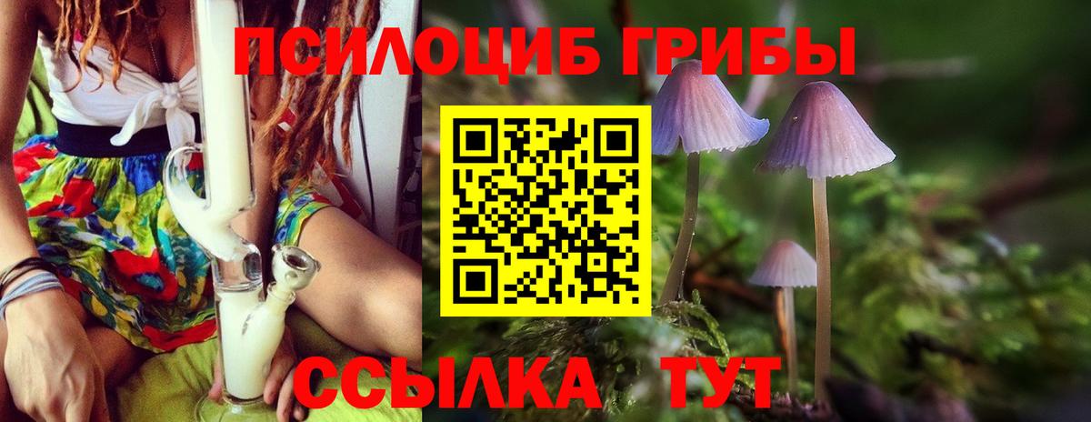 наркотики  Вход с VPN  Амурск  Псилоцибиновые грибы ЛСД  Галлюциногенные грибы GOLDEN TEACHER 